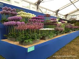 2020 Specialist Plant Fairs, Festivals, Sales, and Swaps (part two