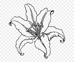 Maybe you would like to learn more about one of these? Free Easter Lily Clipart Lily Clip Art Free Transparent Png Clipart Images Download