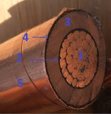 medium voltage cable construction voltage disturbance