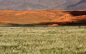It catches travellers every time. Experience The Excitement Of Namibia S Rainy Season Namibia Tourism Board