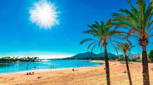 May 24, 2021 · iberostar alcudia park is located in avenida de s'albufera, 30, in playa de muro, on the north coast of mallorca. Alcudia Strand Calas Und Strande Von Mallorca Mallorqueando Com