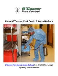 Probably 95% of houses in santa barbara have had a termite infestation. O Connor Pest Control Service In Santa Barbara Ca
