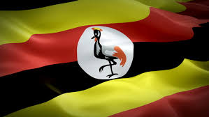 In 1893, the imperial british east africa company transferred its administration rights of territory consisting mainly of the kingdom of buganda to the british government. Uganda Waving Flag National 3d Stock Footage Video 100 Royalty Free 1051967395 Shutterstock