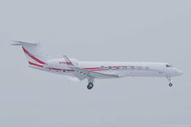 Image result for Coca Cola White 1995 Fleet