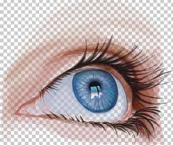 Maybe you would like to learn more about one of these? Googly Eyes Iris Png Clipart Blinking Cartoon Eyes Encapsulated Postscript Euclidean Vector Eye Free Png Download