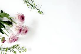 Einfach online strauß aussuchen, sicher kaufen und freude schenken. Weisser Hintergrund Mit Hubschen Blumen 2030908 Stock Photo Bei Vecteezy