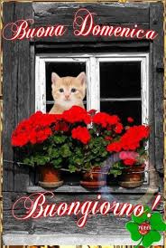 Immagini del buongiorno per dire buona domenica. Buona Domenica Buongiorno Nuove Buongiorno Immagini It