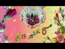 Subha Bakhair With Dua Subha Bakhair Whatsapp Status Subha Bakhair Wishes 2021 Youtube Lovethispic offers tulip have a beautiful day gif pictures, photos & images, to be used on facebook, tumblr, pinterest. subha bakhair with dua subha bakhair whatsapp status subha bakhair wishes 2021