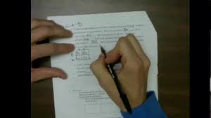 Genetics Worksheet Youtube