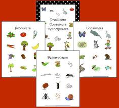 Pin On Tpt Can Teach Every Child