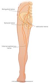 Military Disability Ratings For Nerves Of The Low Back And Legs