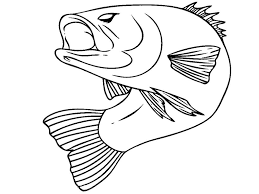 Download bass fish coloring pages and use any clip art,coloring,png graphics in your website, document or presentation. Pin On Stuff To Try