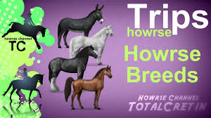 Howrse Breeds Howrse Trips