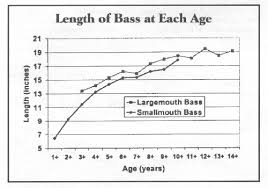 do you eat smallmouth bass when fishing canadian lodges