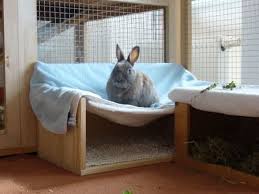 Bauanleitung Casimir S Hangematte Kaninchen Forum By Sweetrabbits Made With Forum101 By Worldweb Kaninchen Kaninchen Forum Haustier