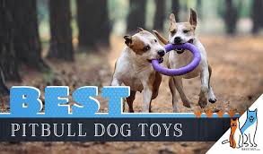 Muscular dogs like him have remarkable jaws that can easily break or tear off toys in hours. 12 Best Dog Toys For Pitbulls In 2021