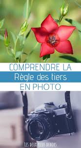 Vous Souhaitez Apprendre La Photo Connaitre Les Bases En Photographie Vous Avez Regle Des Tiers Photographie Photographie Debutant Apprendre La Photographie