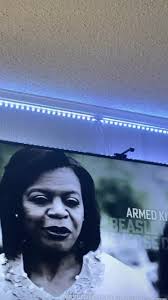 Does anyone have recommendations for a outside LED STRIP. RGBIC my house is  2385 sq foot. The length Is my concern. I know most of the lights have 2  strips and it’s separated in the center like the ...