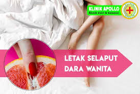 Menjadi perempuan berisi tentang 25 artikel tentang perempuan yang ditulis oleh 23 penulis. Dara Perempuan Terletak Dimana Sang Hook