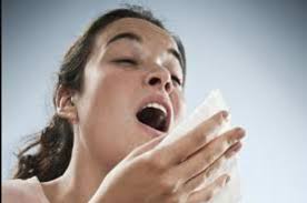 Minnesota Churches of God Conference