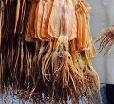 Cara Memasak Cumi Asin Saus Tiram Cara Membuat Cumi Kering Harga Cumi Kering Resep Cumi Asin Rica Rica Resep Cumi Kering Asam Man Cara Memasak Gambar Sederhana