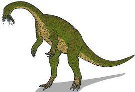 Mereka memiliki panjang sekitar 1,8 meter reptil terbang yang sudah punah ini memiliki lebar sayap berukuran 1,75 meter. Daftar Spesies Dinosaurus Herbivora