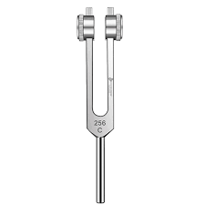 Image result for Tuning Fork Test