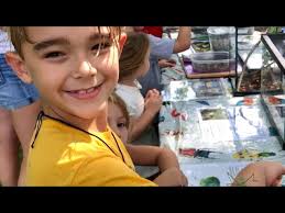 Holding a Praying Mantis at Bug Fest 8-27-23 at SEWP