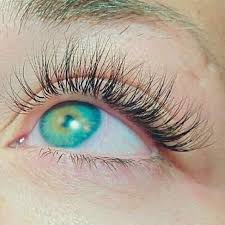 Maybe you would like to learn more about one of these? Bee Hive Salon Home Facebook