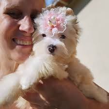 Ahhh vamos.sentir saudades dessa princesinha linda que logo logo conhecerá  sua nova família. ❤️🥰🙏 Gratidão.