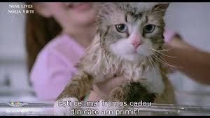 Este o bătălie de egal, pe măsură ce sniper mask își asumă amenințarea. Nine Lives NouÄ VieÈi Youtube