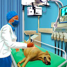 We offer a vast supply of medical products and first aid kits for all needs. Animal Hospital Pet Vet Clinic Do Pet Animal Rescue Pet Care At Animal Shelter Become Animal Doctor At Animal Clinic Best Pet Games Animal Games For Kids Free Amazon De