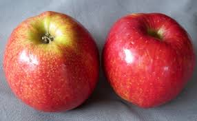 When we get to see the enjoyment people find in a red prince® apple, it reminds us exactly why we do what we do. The Red Prince Apple My Favourite Pastime