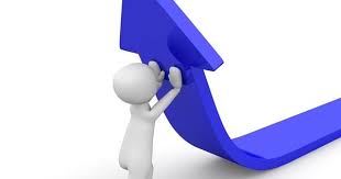 Sekerpinar Evden Eve Nakliyat Evler Tasimacilik Tirlar