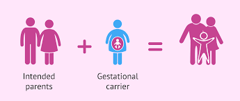 Don't hesitate to ask him or her any questions you. Role Of Surrogate In Gestational Surrogacy