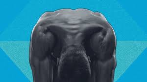 Check us out for a full line of animal traps & trapping supplies. Trap Exercises How To Work Out Your Trapezius British Gq