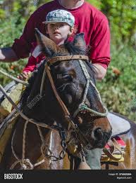 Find the perfect horse argentina stock photo. Father Son Horse San Image Photo Free Trial Bigstock