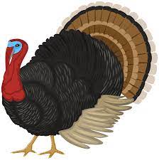 Free for commercial use no attribution required high quality images. Turkey Png Clipart Gallery Yopriceville High Quality Images And Transparent Png Free Clipart