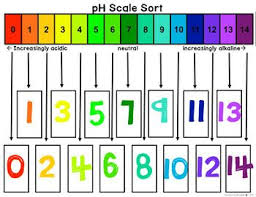 Ph Scale Activity Acids And Bases Activities Periodic Table Of The Elements The Unit
