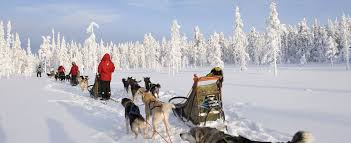 C'est à environ deux heures de l'aéroport et vous y arriverez. Vivatours En Laponie 30 Ans D Amities Lapones Et D Experience En Laponie
