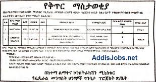 Bank of abyssinia vacancy announcement. Multiple New Jobs For Secretary Teachers And More