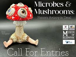 Image result for Monothecium