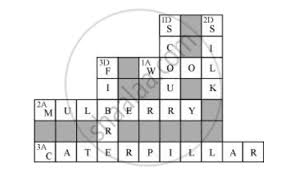 Science world crossword puzzle answers. Given Below Is A Crossword Puzzle Based On This Lesson Use Hints To Fill In The Blank Spaces With Letters That Complete The Words Science Shaalaa Com