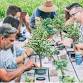 Bonsai Workshop at Rushford & Sons Brewhouse event image
