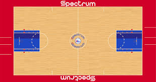 Use precise geolocation data | actively scan device characteristics for identification. The Nba Court Database