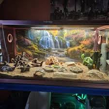 Image result for Terrarium Cling Background