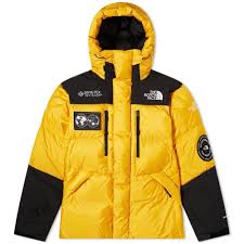 The North Face Seven Summits Gore Tex Himalayan Parka Yellow Mrsorted In 2020 The North Face Gore Tex North Face Mens