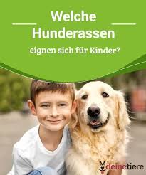 welche hunderassen eignen sich fur kinder my animals hunderassen hunde rassen welche hunderasse