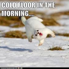 Jacabreakfast On Twitter Good Morning Everyone It Is Officially Freezing Today So Bundle Up And Stay Warm Coldfront Http T Co Lq58olauid When sitting down for her interview, robin roberts thanked rihanna for coming in: bundle up and stay warm coldfront