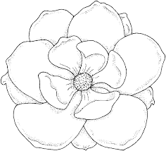Pin On To Color